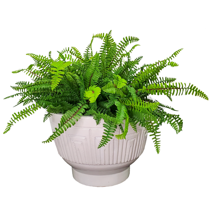 UV Real Touch Boston Fern in Ceramic 21"H