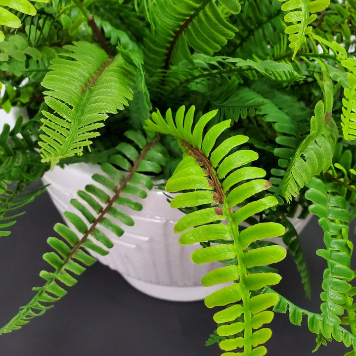 UV Real Touch Boston Fern in Ceramic 21"H