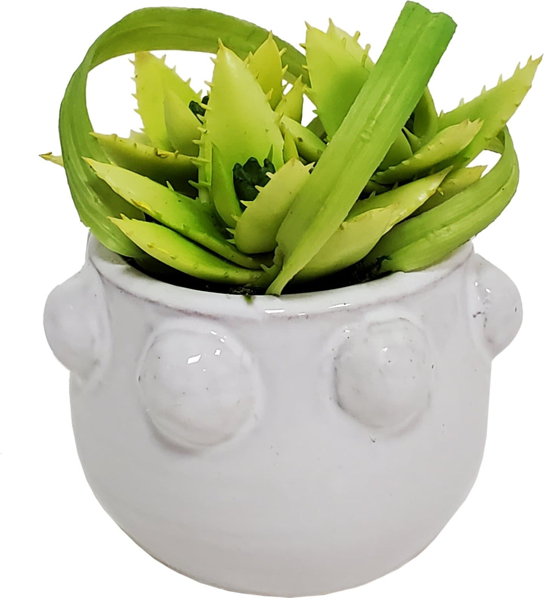 Looped Grass and Protea in Pot