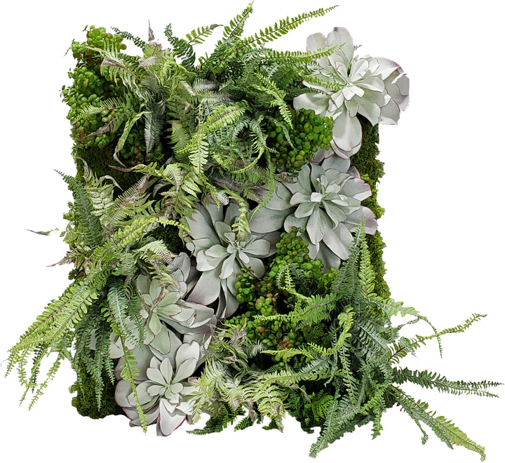 Organic Wall Art with Mixed Ferns, Succulents and Real Touch Moss 38"H