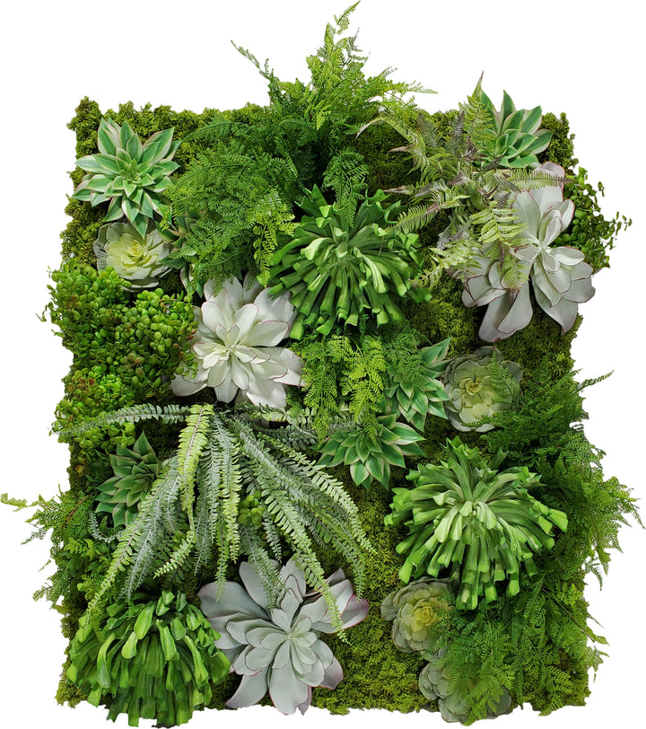 Organic Wall Art with Mixed Ferns, Succulents and Real Touch Moss 48"H