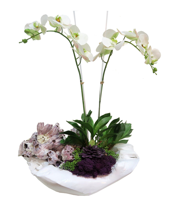 Orchids with Barnacles and Amethyst Crystal in Bowl