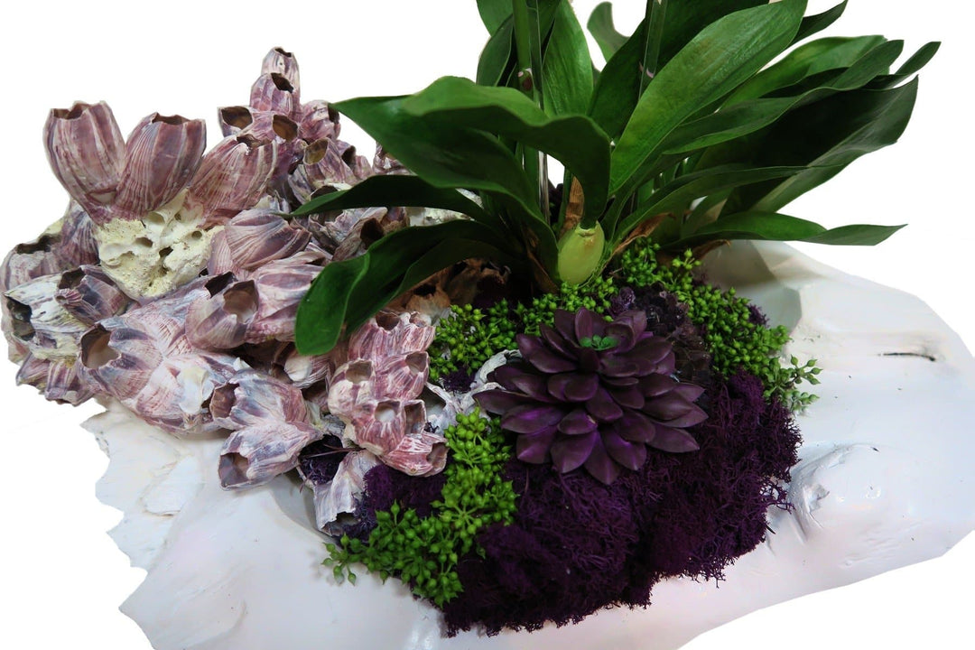 Orchids with Barnacles and Amethyst Crystal in Bowl