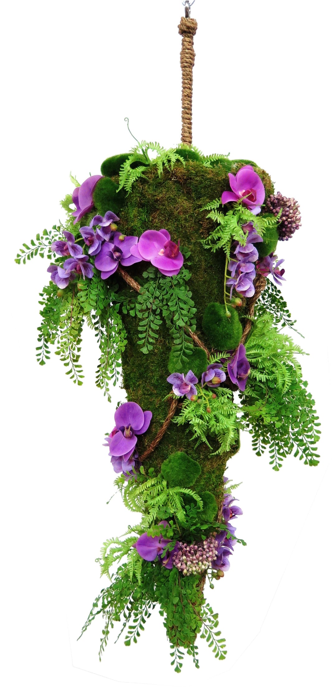 Hanging Moss Cone with Mixed Ferns and Orchids on Rope