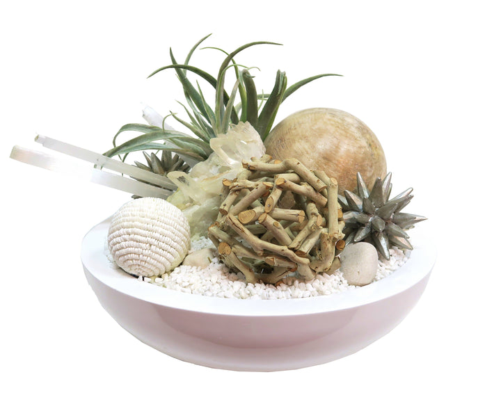 Tillandsia with Crystal and Puka Shell Ball in Bowl