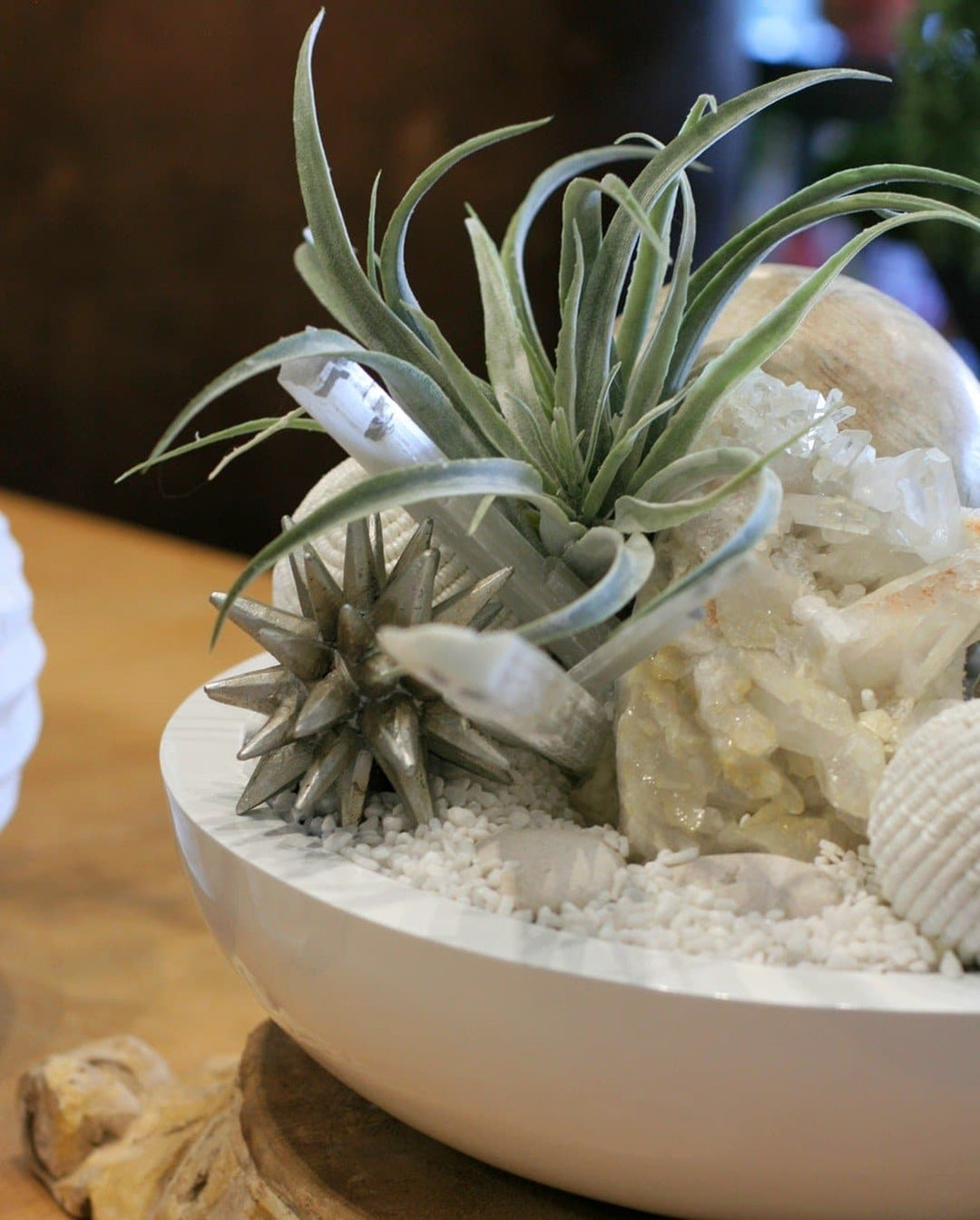 Tillandsia with Crystal and Puka Shell Ball in Bowl