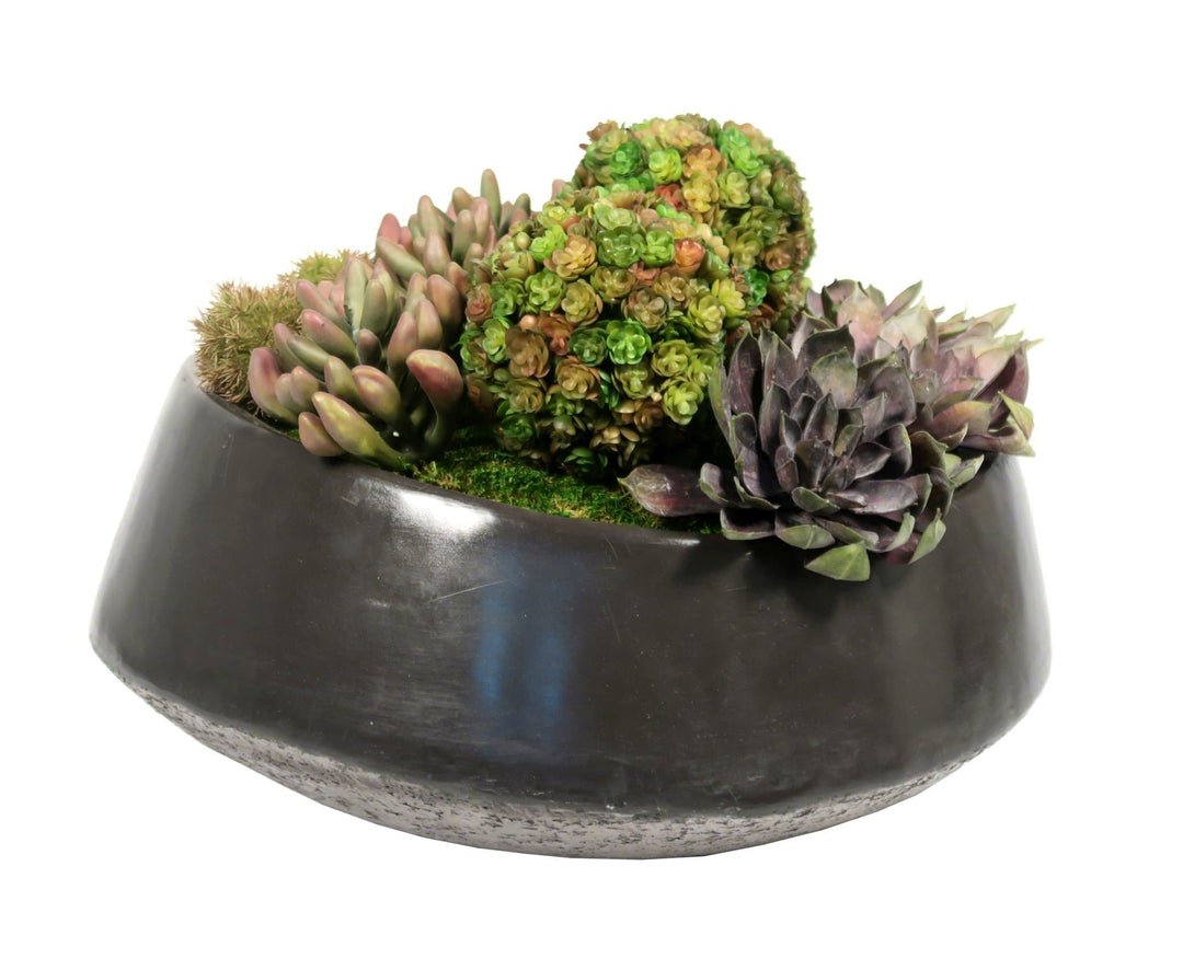 Mixed Succulents in Ceramic