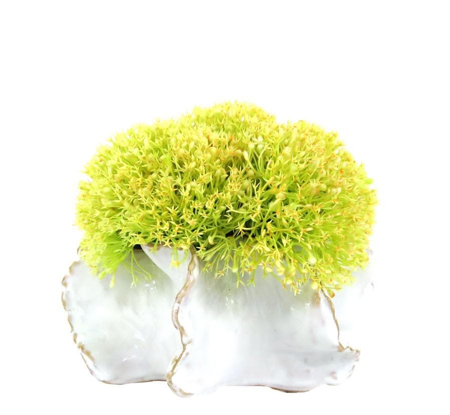 Citron Allium in Ceramic - Large