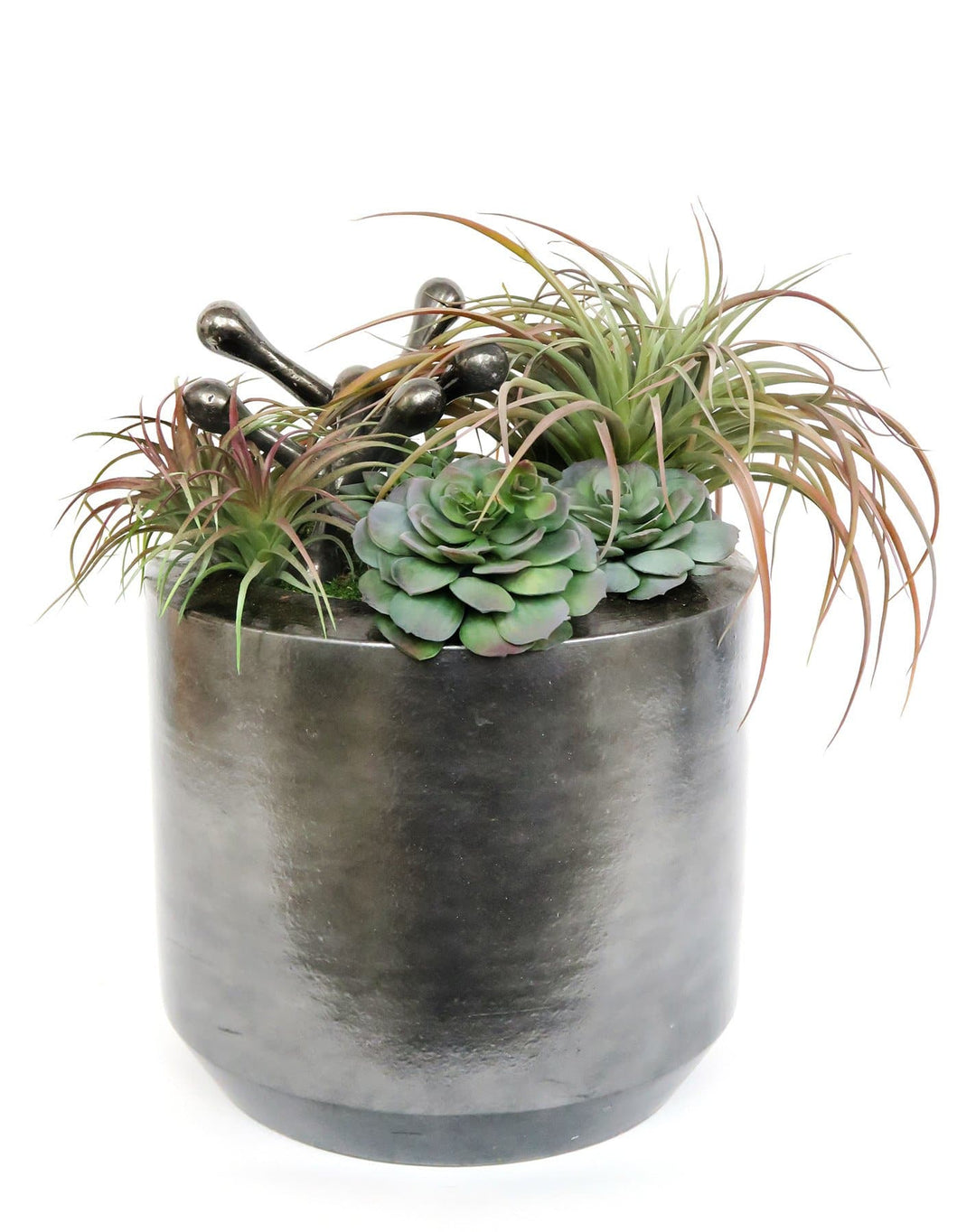 Tillandsia and Echeveria with Metal Jacks in Ceramic