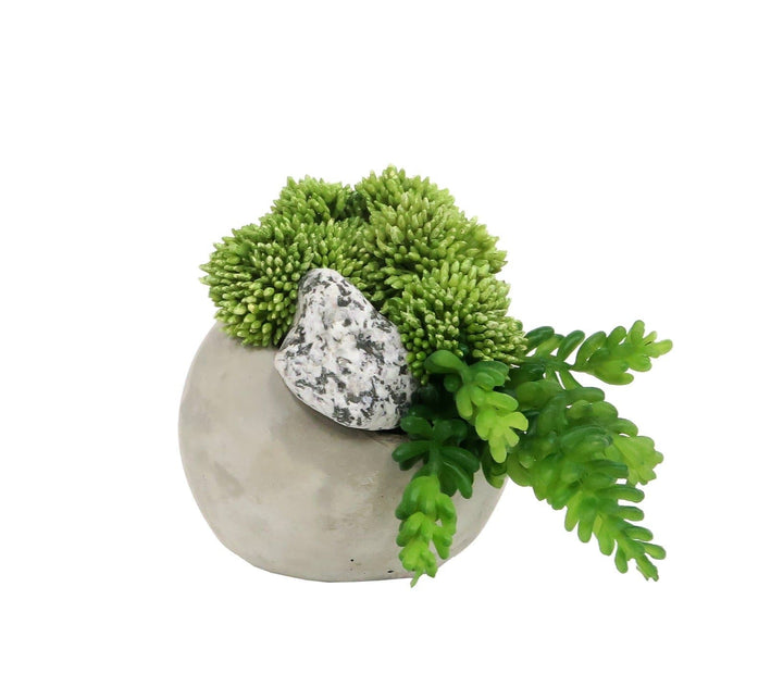 Sedum and Speckled Rock in Pot