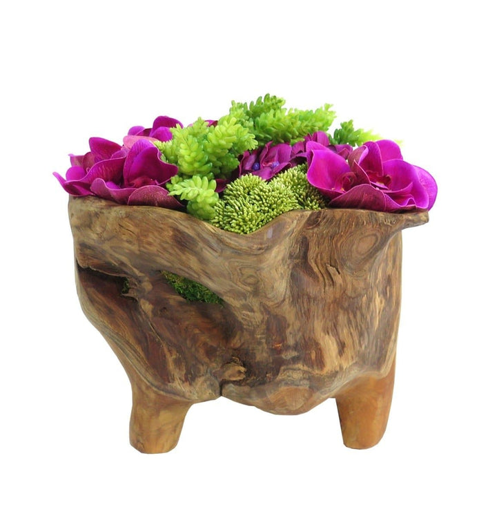 Orchids with Sedum and Moss in Bowl