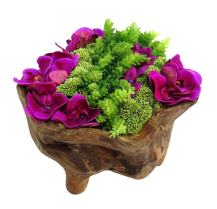 Orchids with Sedum and Moss in Bowl