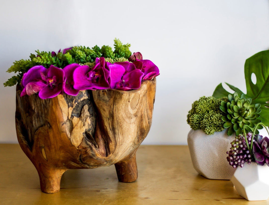 Orchids with Sedum and Moss in Bowl