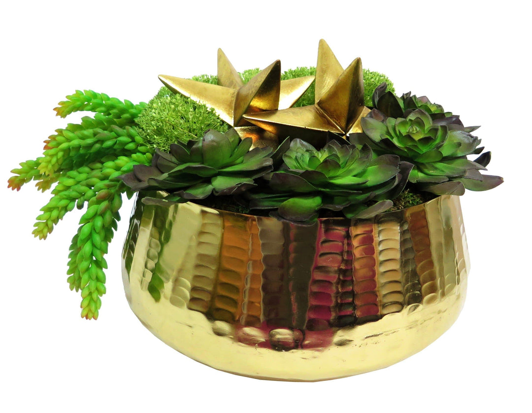 Succulents and Gold Stars in Bowl