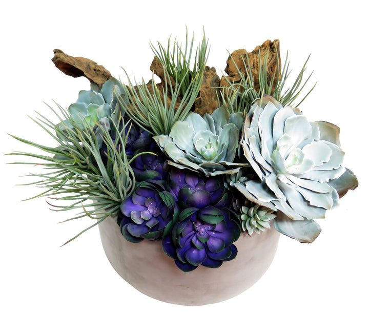 Succulents and Driftwood in Pot