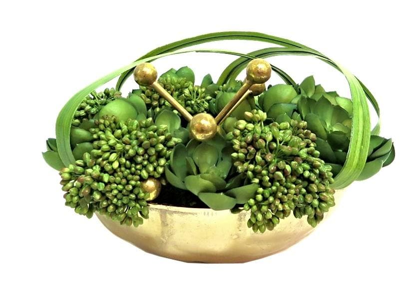 Succulents with Gold Metal Jack and Looped Blade Leaves in Bowl