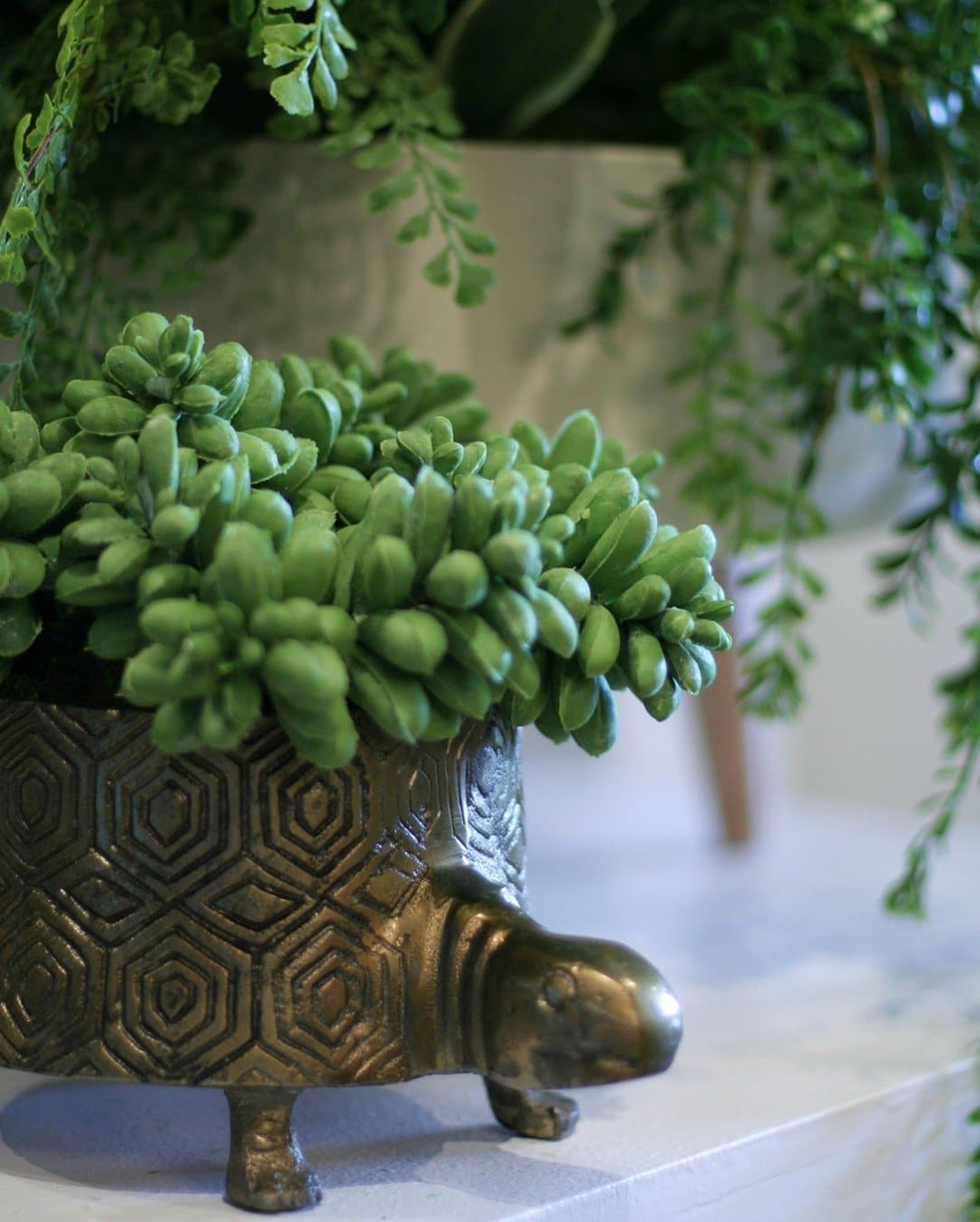 Rosette Succulents and Allium Balls in Pot