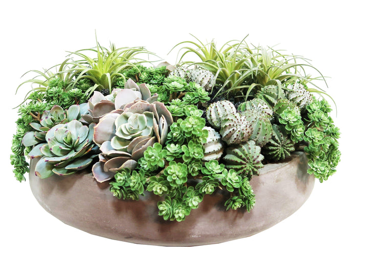 Succulents and Jade Carbonite Stones in Bowl