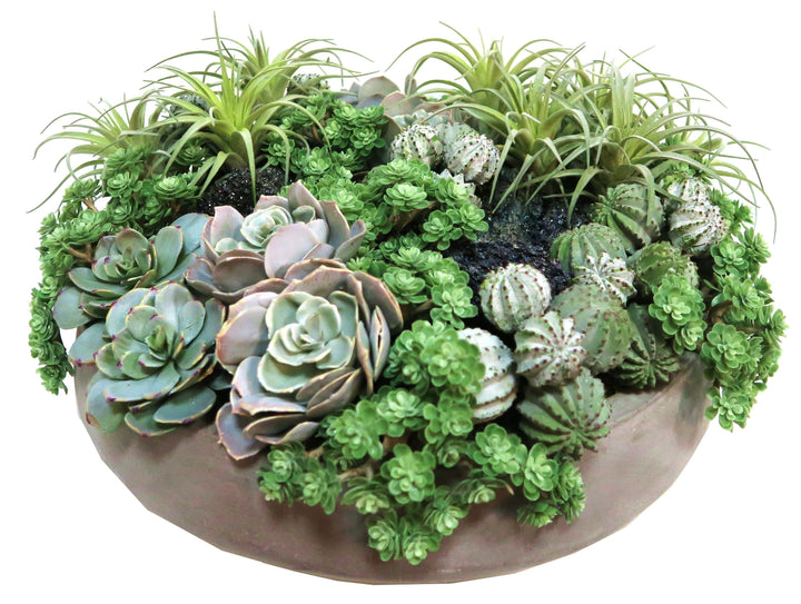 Succulents and Jade Carbonite Stones in Bowl