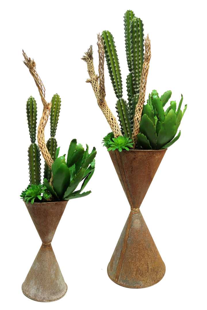 Cactus and Cholla Finger in Zinc Container - Medium Size