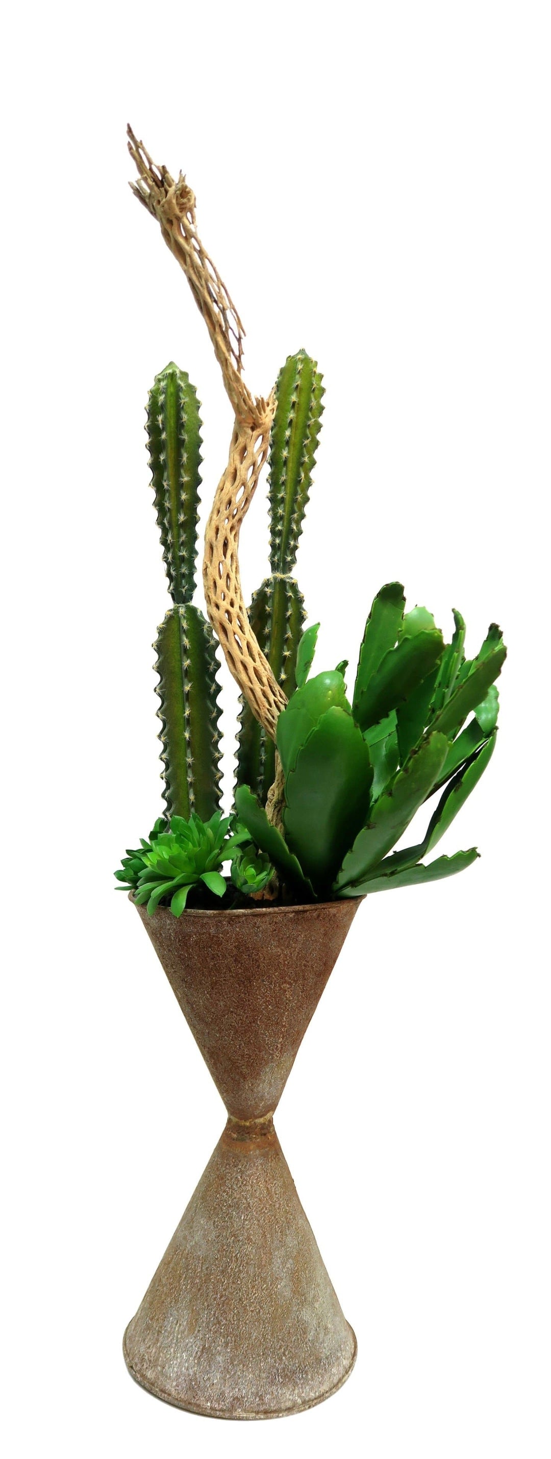 Cactus and Cholla Finger in Zinc Container - Medium Size