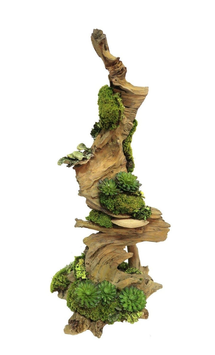 Succulents with Mushrooms and Moss on Driftwood Sculpture - Medium Size