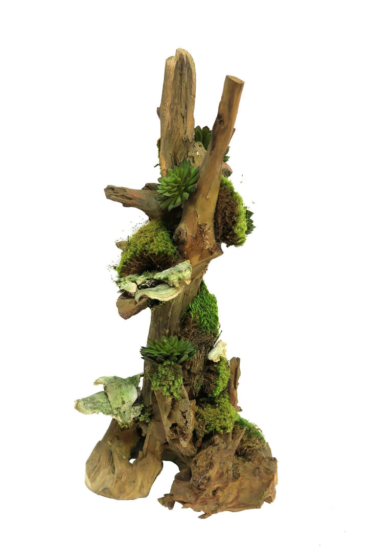 Succulents with Mushrooms and Moss on Driftwood Sculpture - Small Size