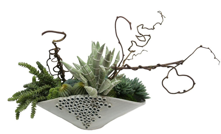 Torch Aloe and Mixed Succulents with Kiwi Vines in Ceramic