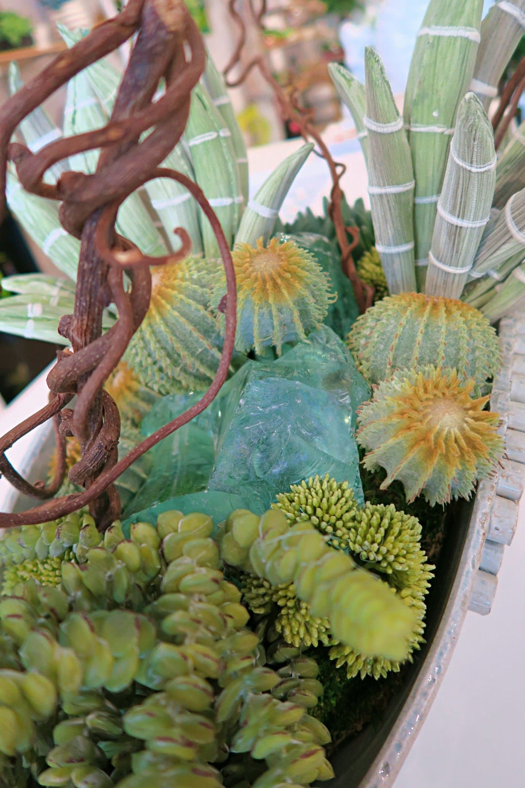 Torch Aloe and Mixed Succulents with Kiwi Vines in Ceramic