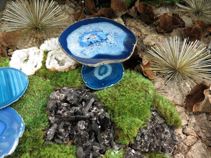 Console Table Featuring Crystals with Mushrooms and Moss 38"HX72"WX18"D