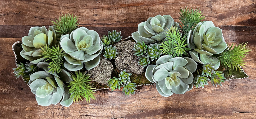 Large Pyrite Crystals, Succulents and Senecio in Tray