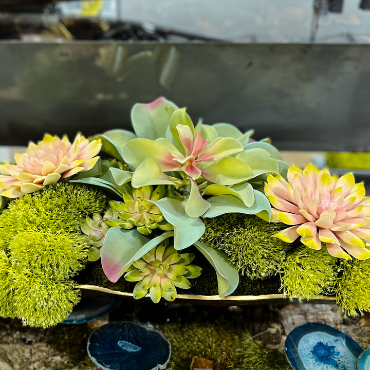 Succulents with Yarrow and Sedum in Tray