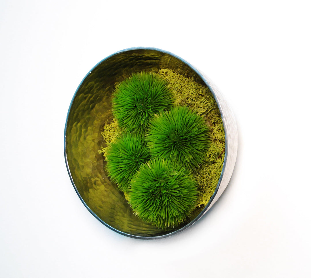 Hanging Bowl with Allium Spheres and Reindeer Moss