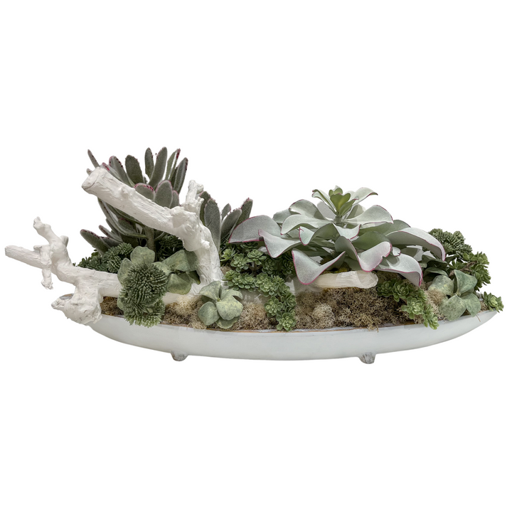 Succulents and Grapewood Branch in Container