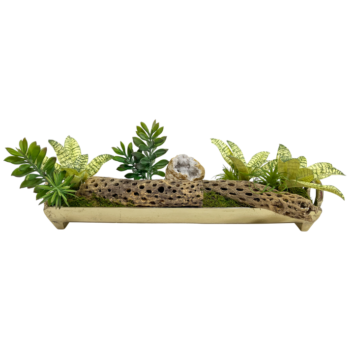 Succulents with Geode and Cholla Branches in Container